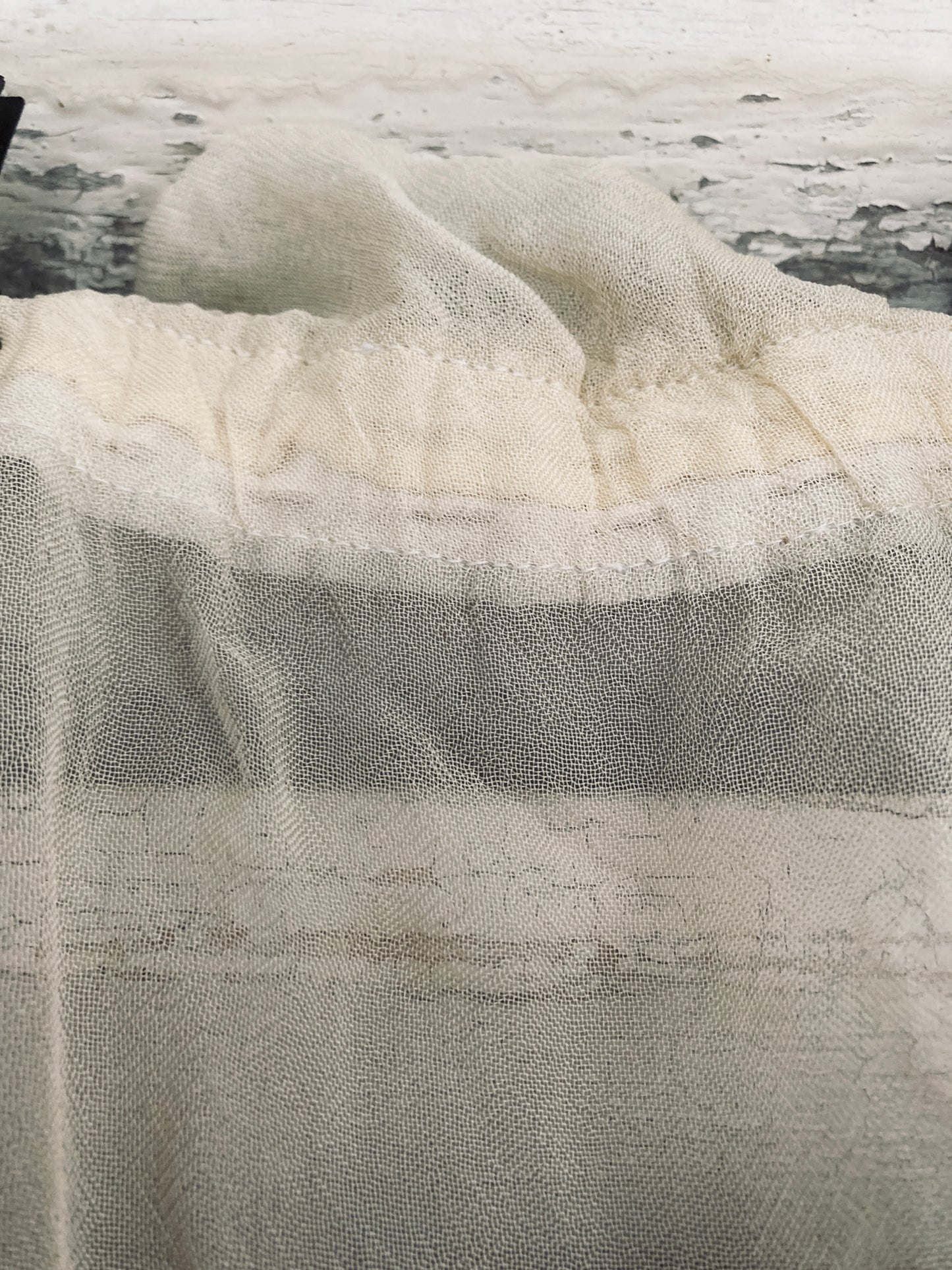 French embroidered organza panel.