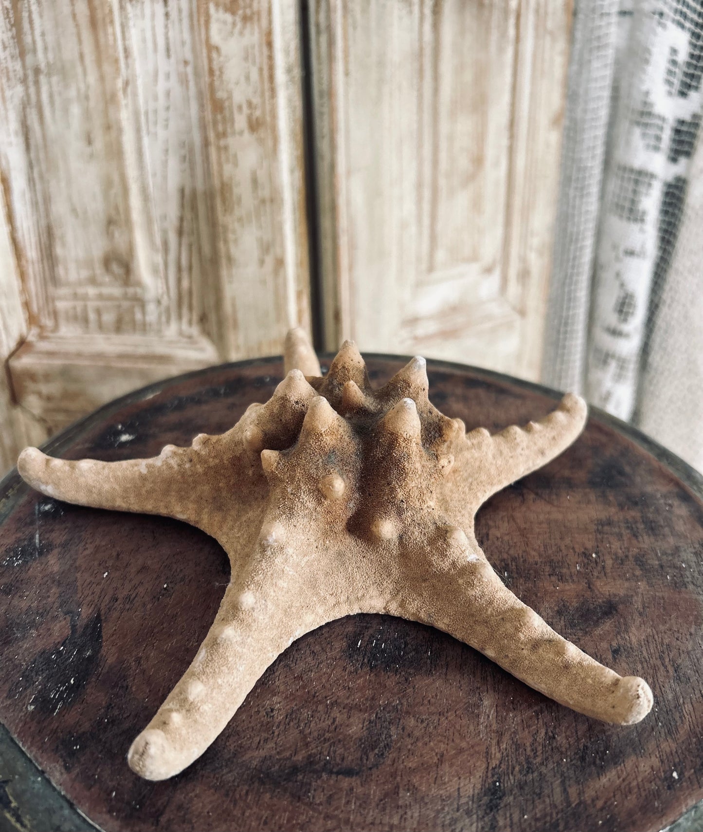 Starfish number 2