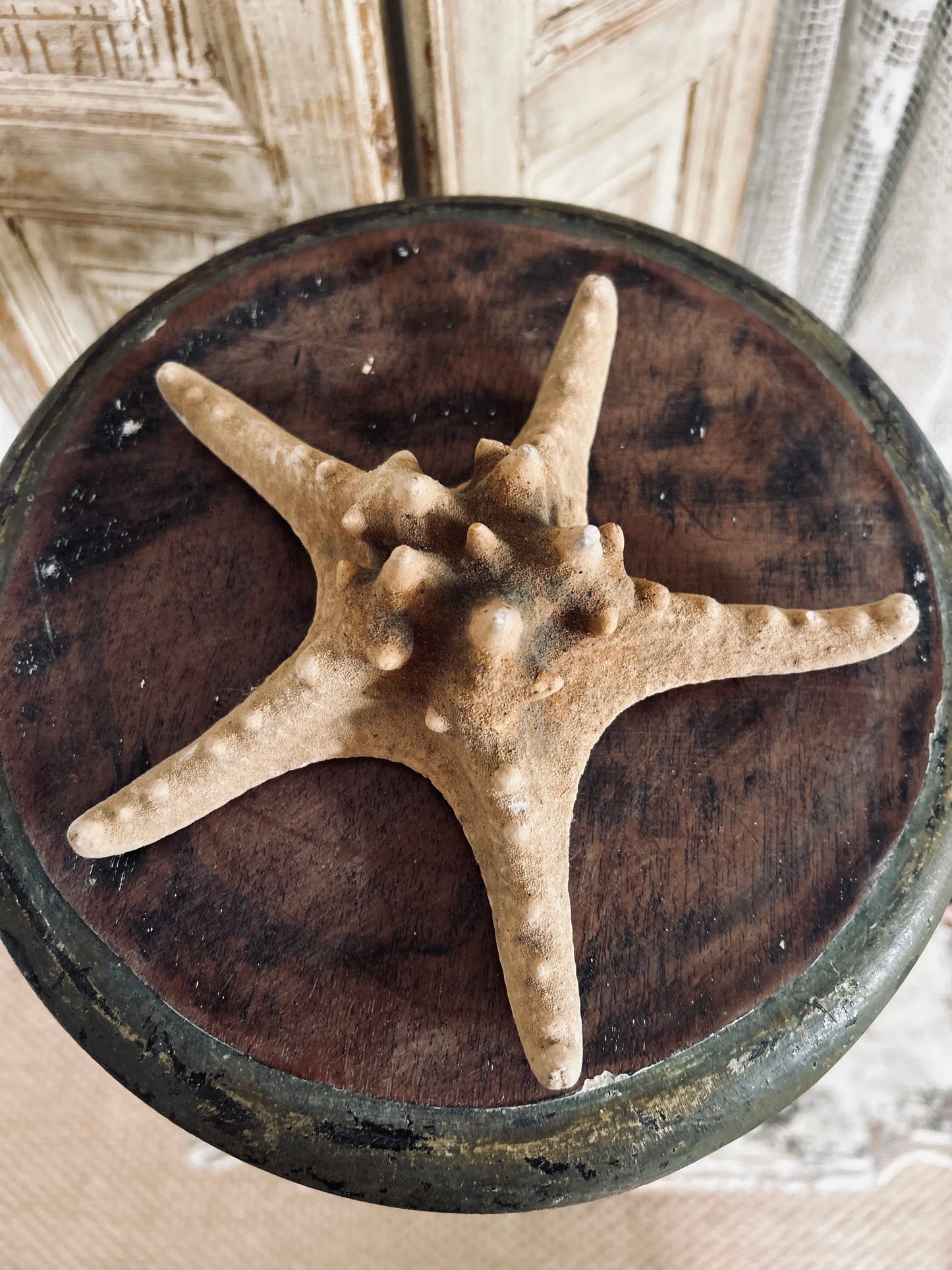 Starfish number 2