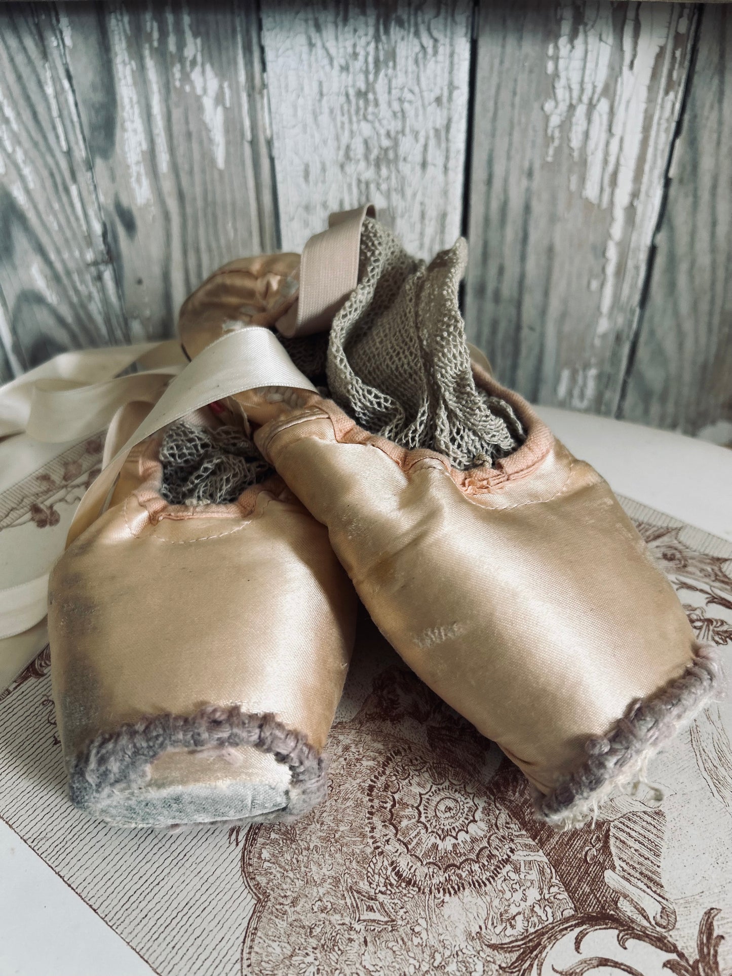 A pair of deliciously tatty old ballet pointes. (Pair 2.)