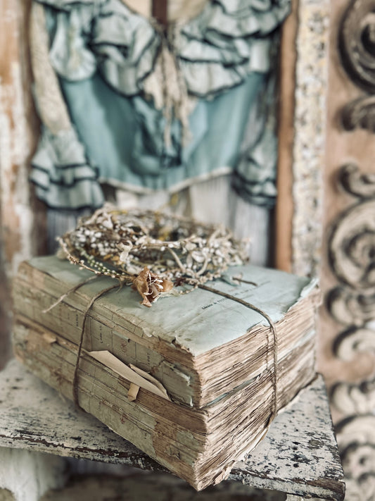 Nineteenth century frothy french books.