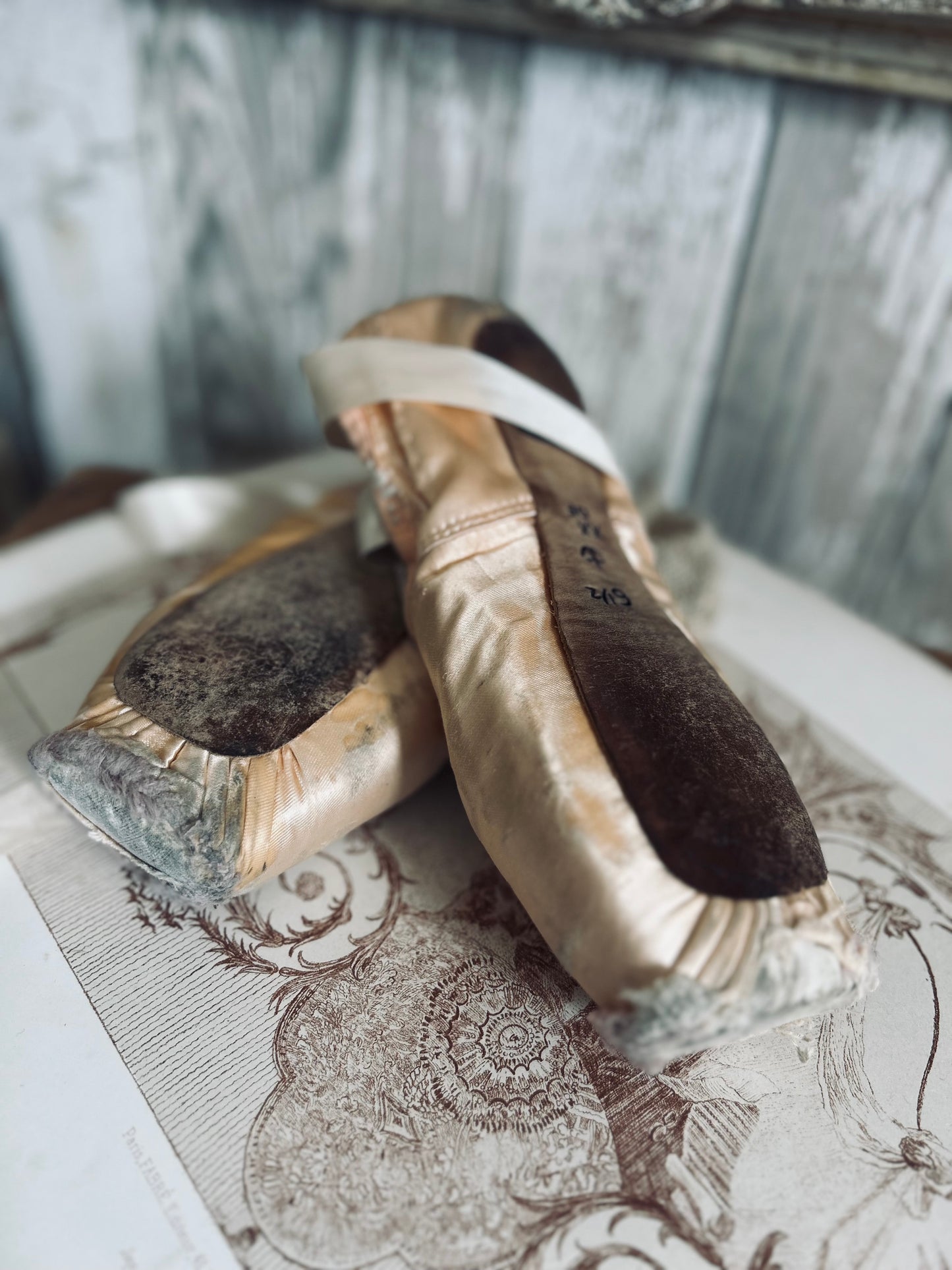 A pair of deliciously tatty old ballet pointes. (Pair 2.)
