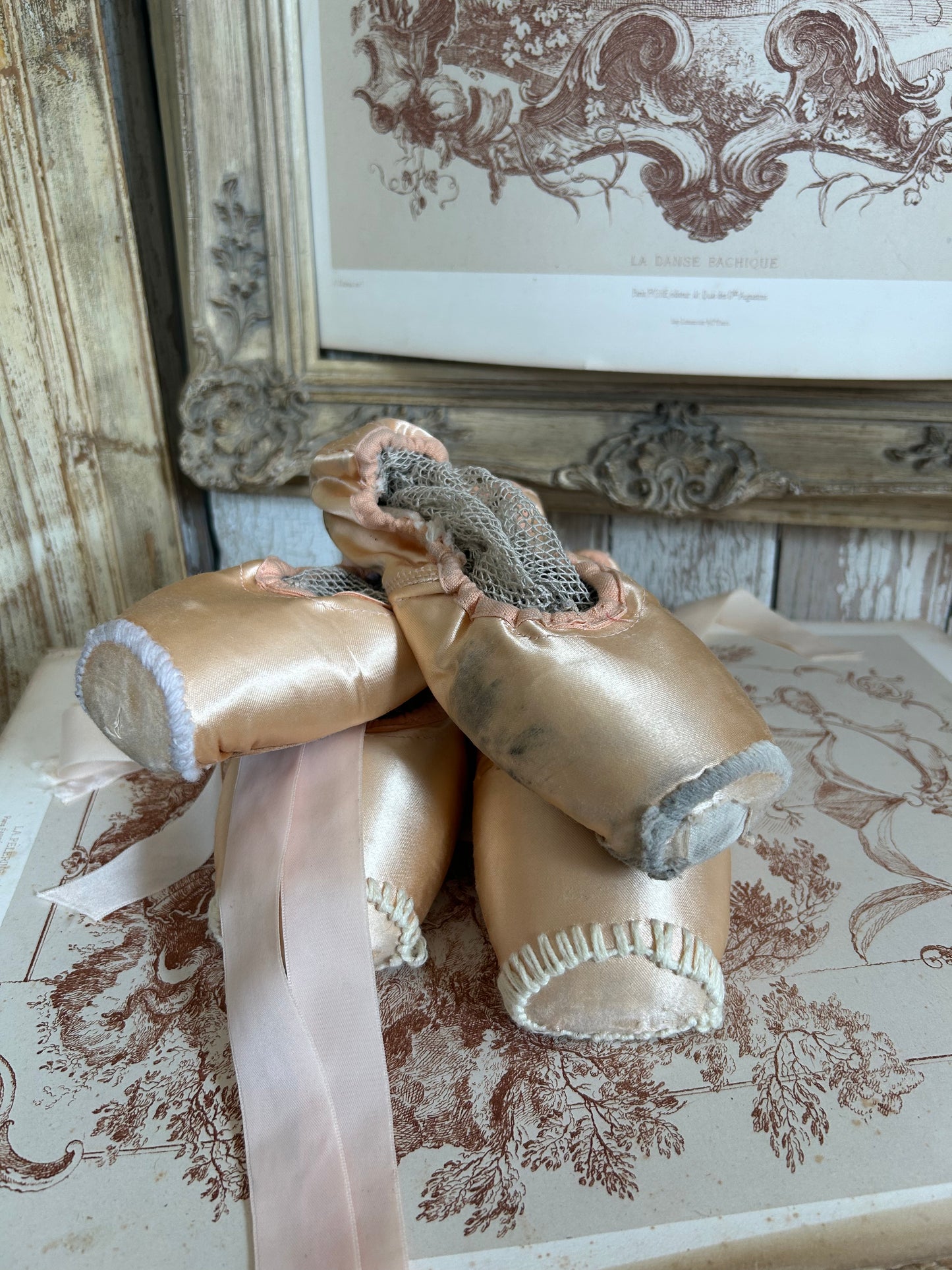 Two pairs of deliciously tatty ballet pointes. (Set 3.)