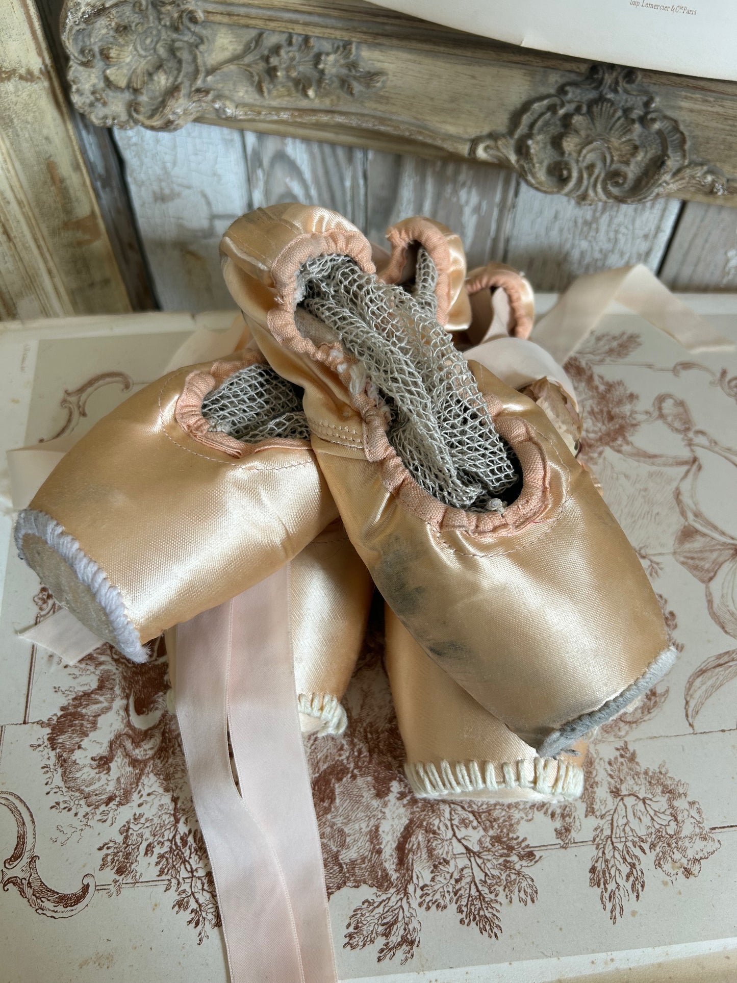 Two pairs of deliciously tatty ballet pointes. (Set 3.)